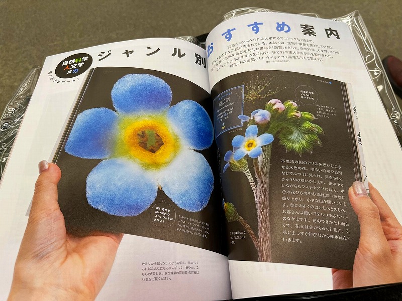 美しき小さな雑草の花