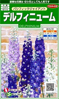 デルフィニュームパシフィックジャイアント