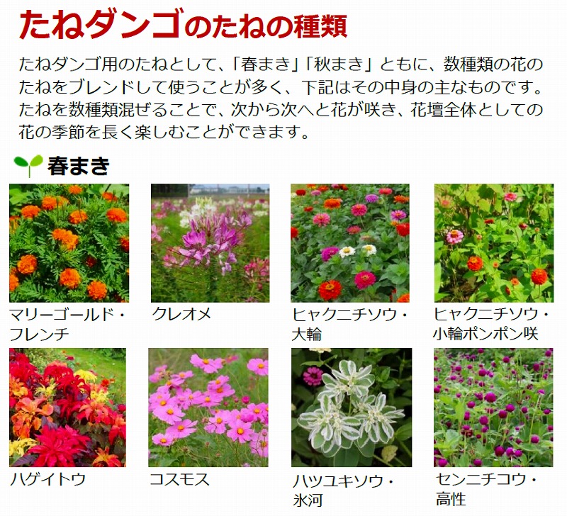 春まきの種一覧